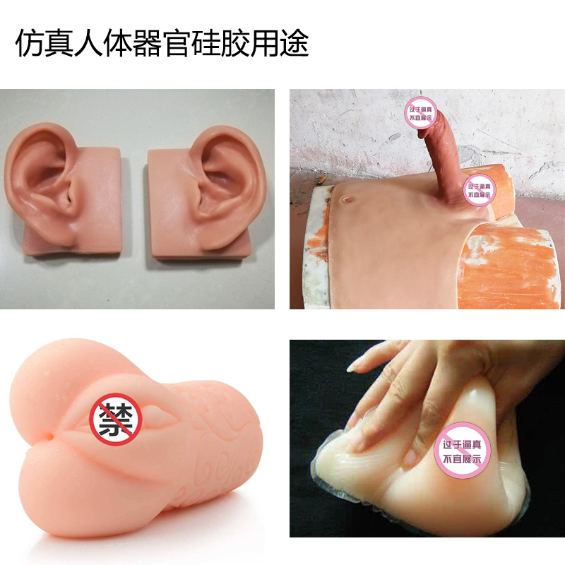仿真人體器官硅橡膠 仿真人體器官硅橡膠
